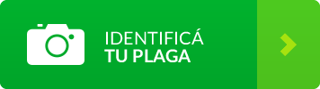 Identificá tu plaga