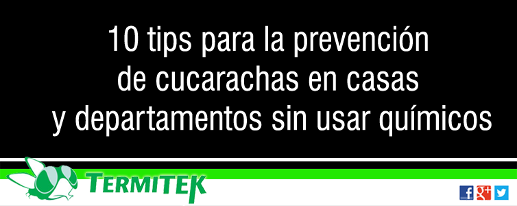 10 tips para prevenir las cucarachas en casas y departamentos sin usar quÃ­micos