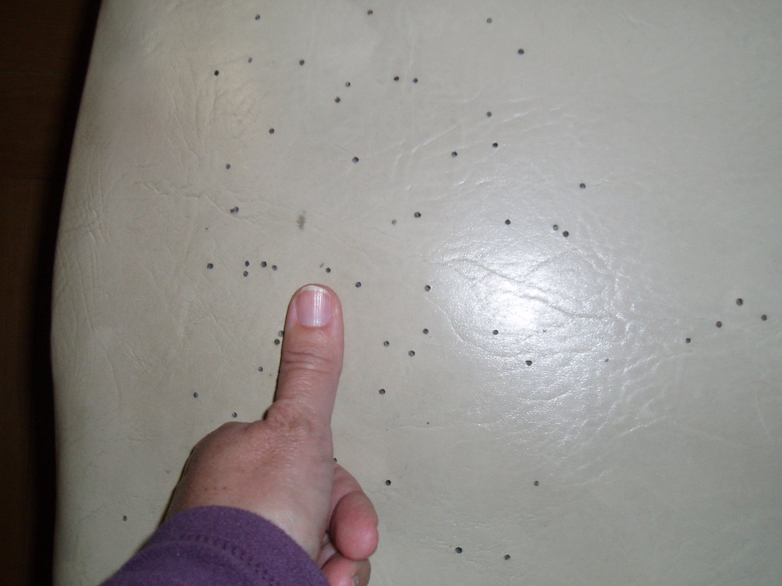 Plaga identificada