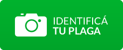 Identificá tu plaga